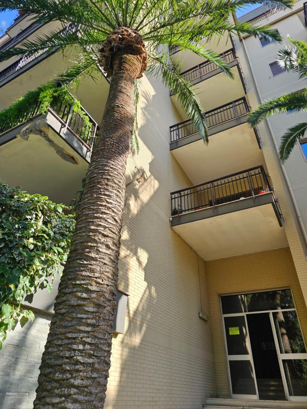 La Casa Di Telen Zona Policlinico Oncologico E Villa De Grecis บารี ภายนอก รูปภาพ